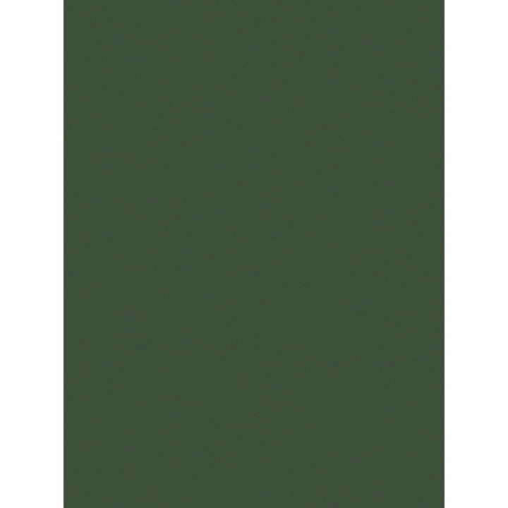 Sweat Pignada — Vert pin